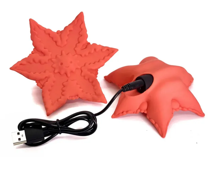 Female Sex Toys Cute Little Fuckers Cute Little Fuckers Starsi Rechargeable Handheld Vibrating Stimulator All Colors